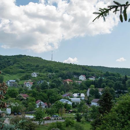 Hotel Complex Caprice-Monteoru Sărata-Monteoru Zewnętrze zdjęcie